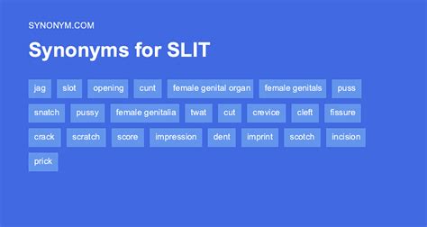 slit noun .